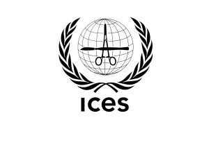 ICESv6